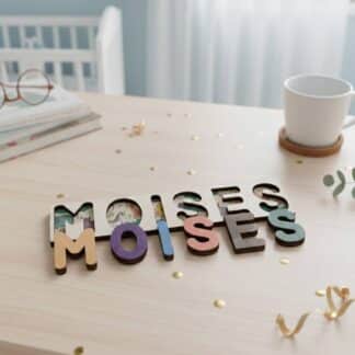 Puzzle nom animals
